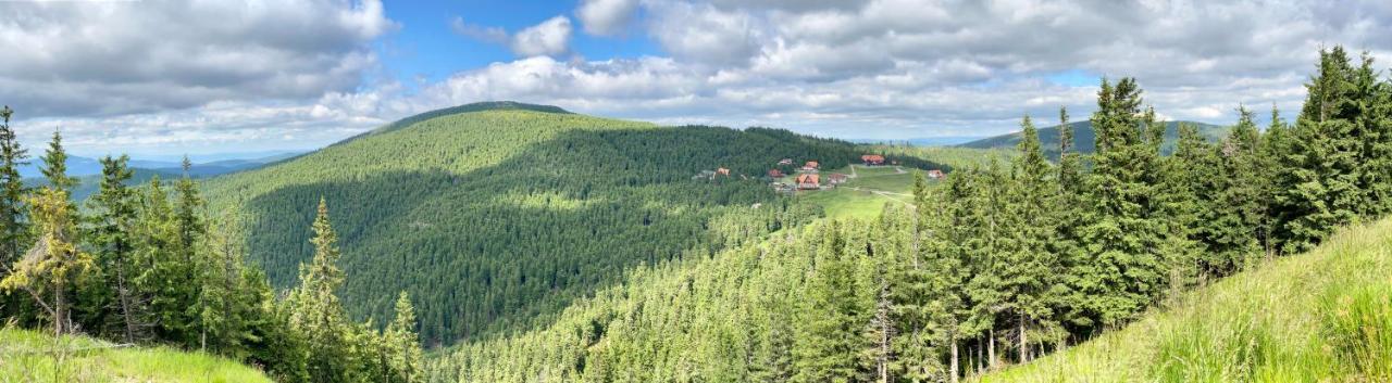 Platan Vendeghaz Villa Izvoare  Bagian luar foto